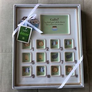 Baby’s First year photo frame